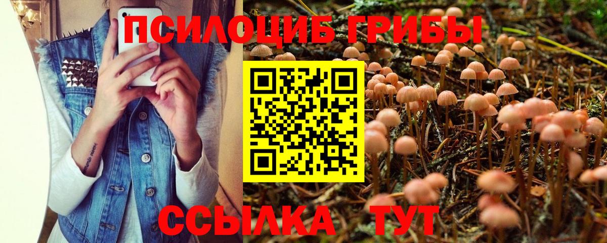 Галлюциногенные грибы мухоморы Острогожск