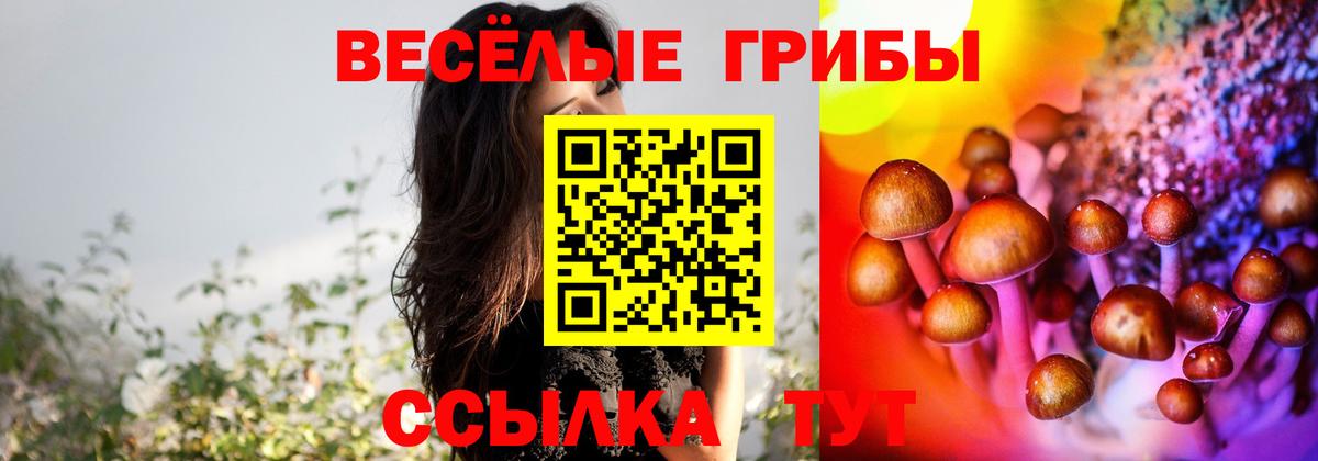 Галлюциногенные грибы мухоморы  Псилоцибиновые грибы мицелий  Острогожск  Вход с VPN 